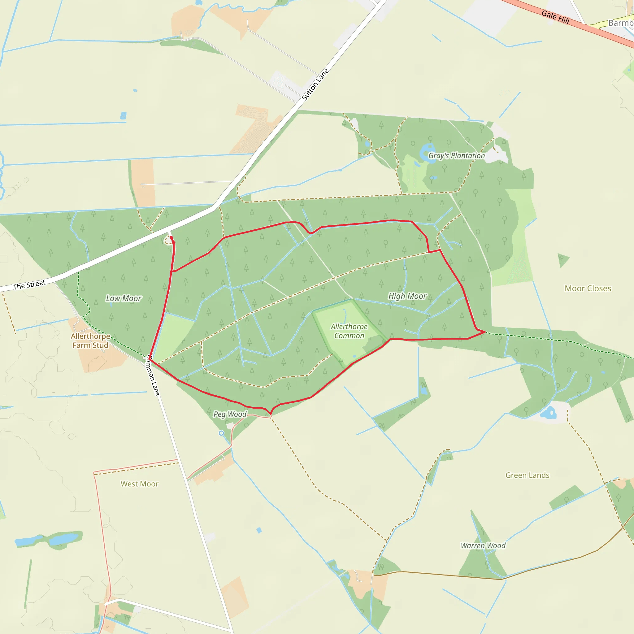 Allerthorpe Woods Loop mobile static map