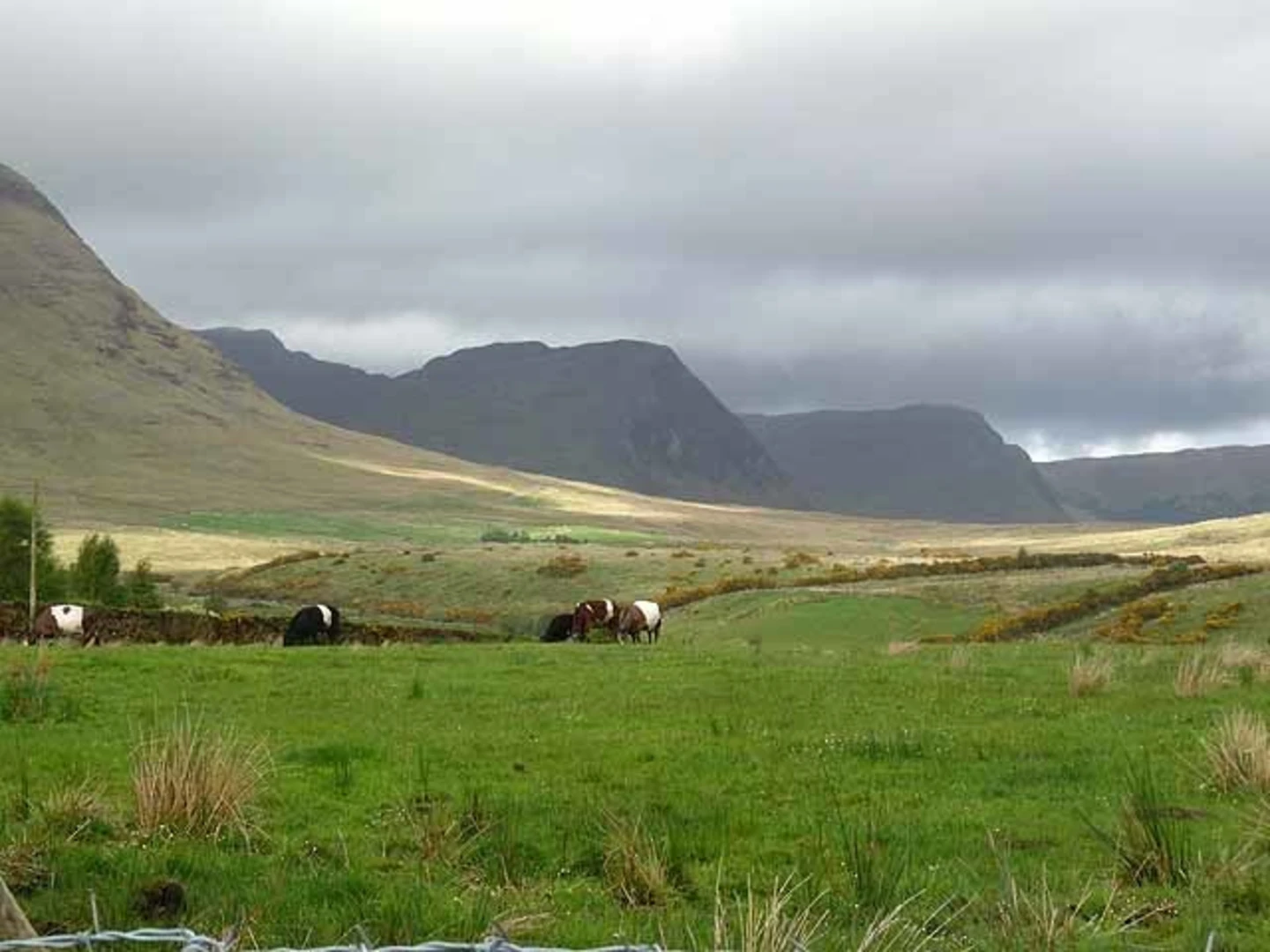 An image depicting the trail Barnahowna Mountain Loop Walk and its surrounding area.