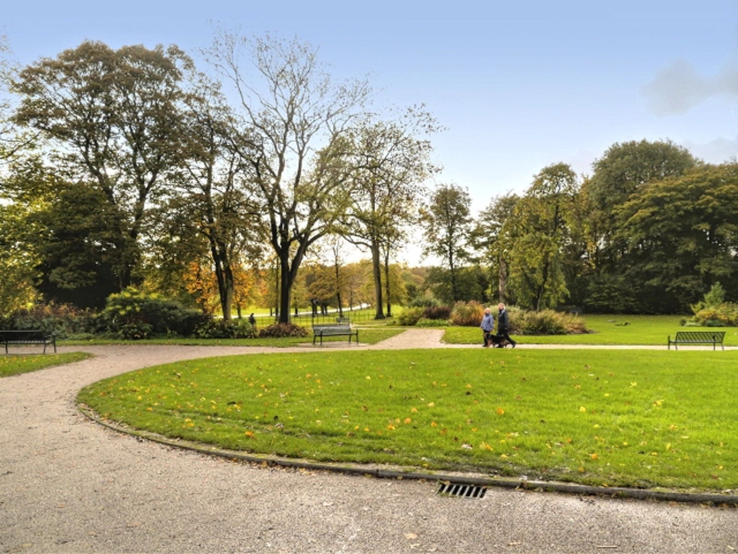 An image depicting the trail Sherborne Park Loop and its surrounding area.