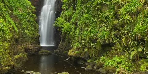 An image depicting the trail Cranny Falls and its surrounding area.
