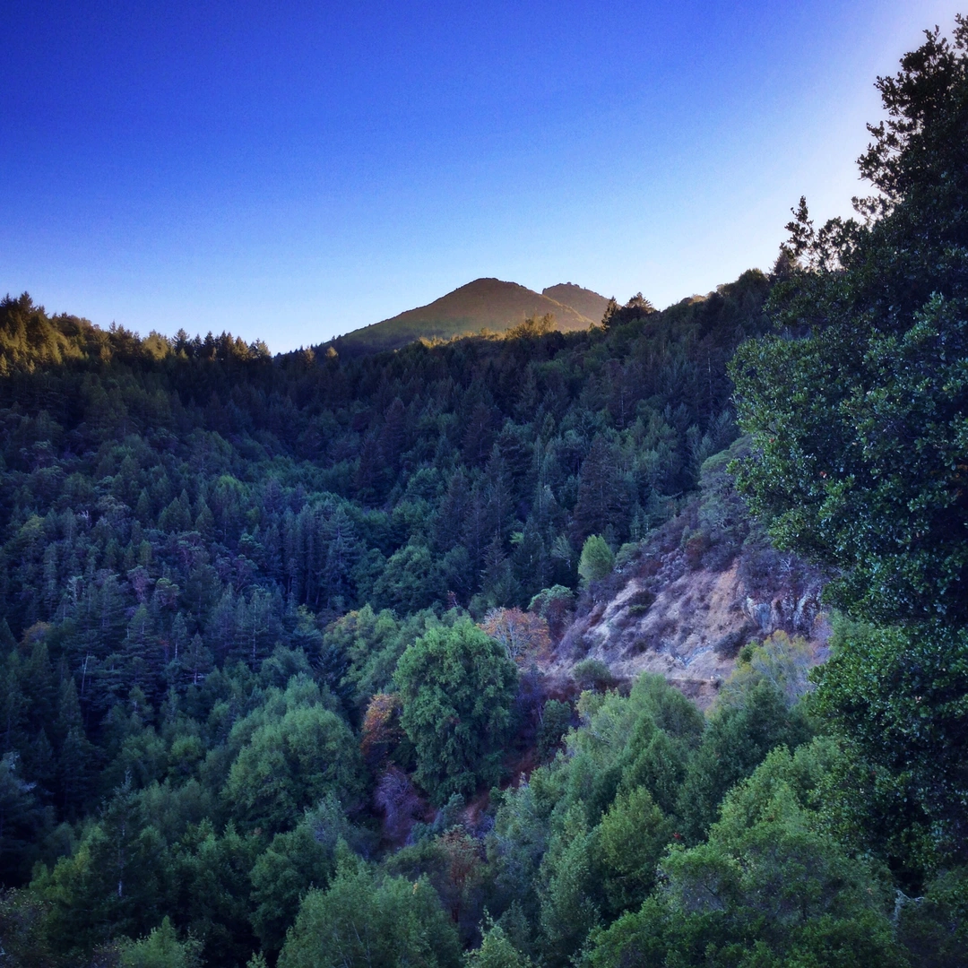 An image depicting the trail Dawn Falls, Ladybug, King Mountain and Hoo-Koo-E-Koo Fire Loop Trail and its surrounding area.