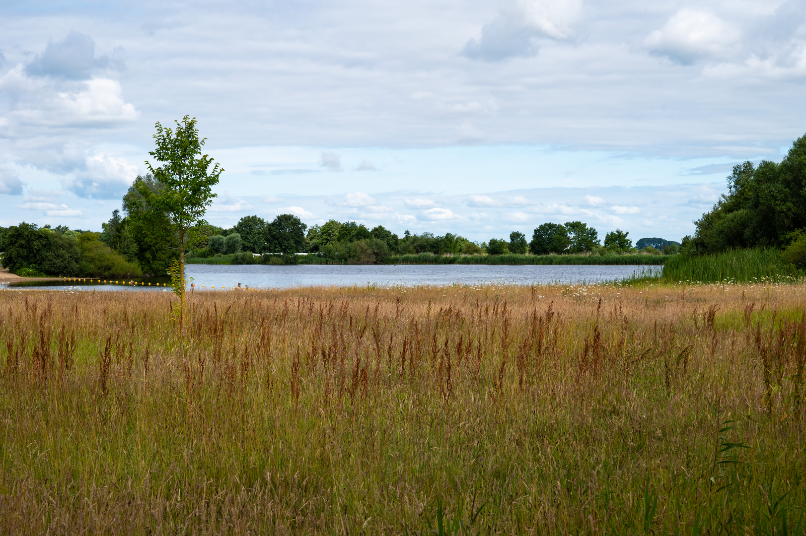 An image depicting the trail Wijde Aa via Toddenbeltpad and Overijssels Havezatenpad and its surrounding area.