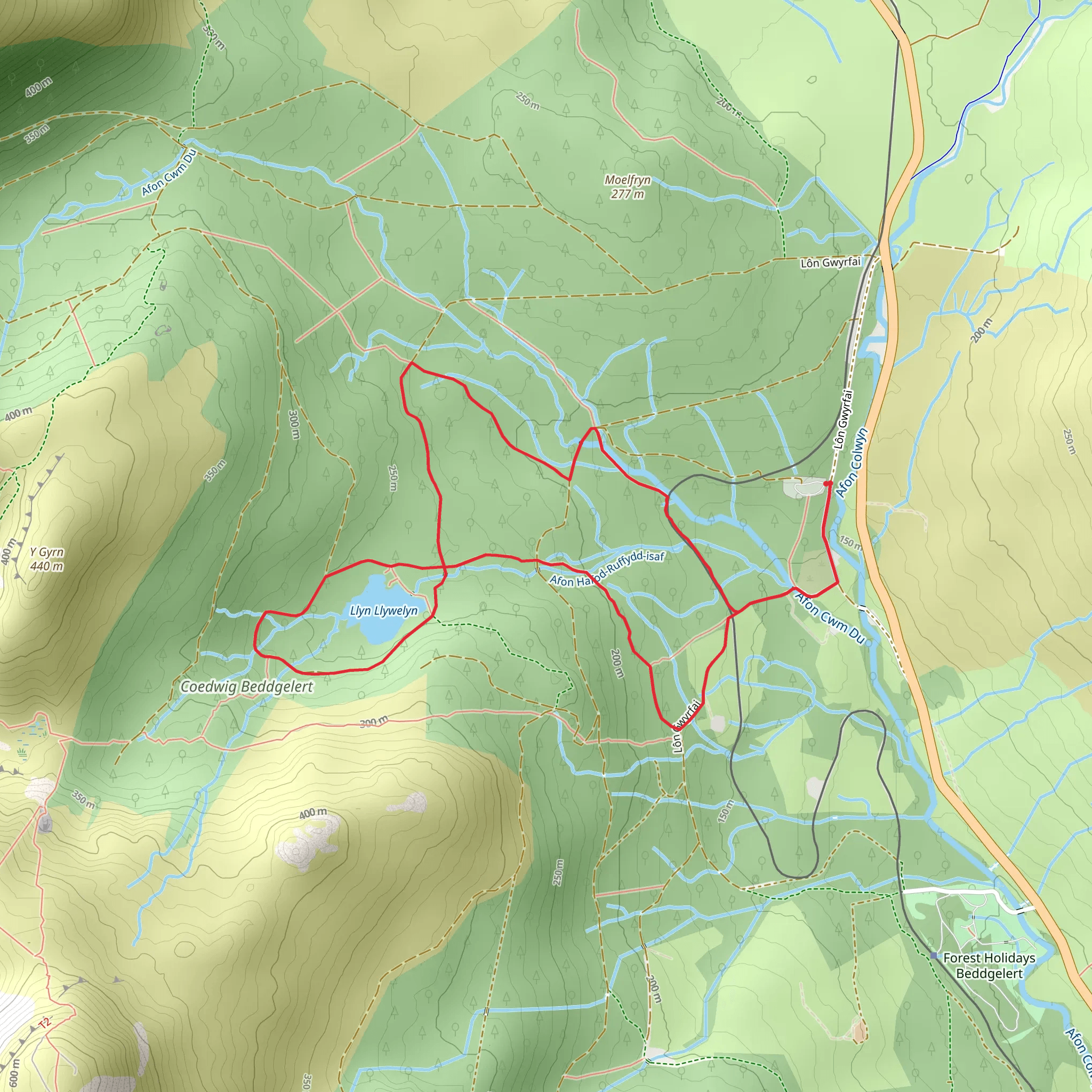 Beddgelert Forest Loop mobile static map