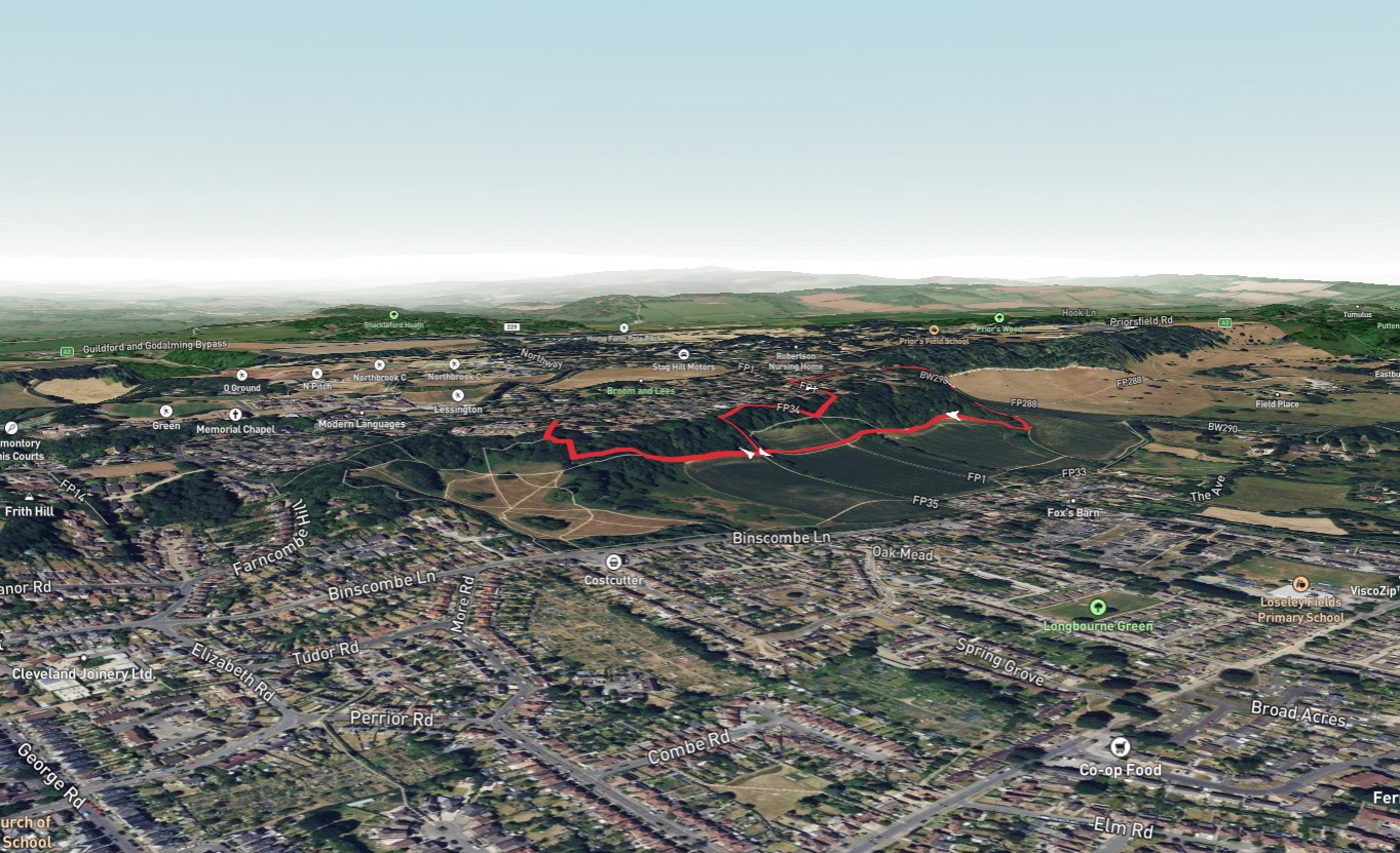 Farncombe Wood Short Loop