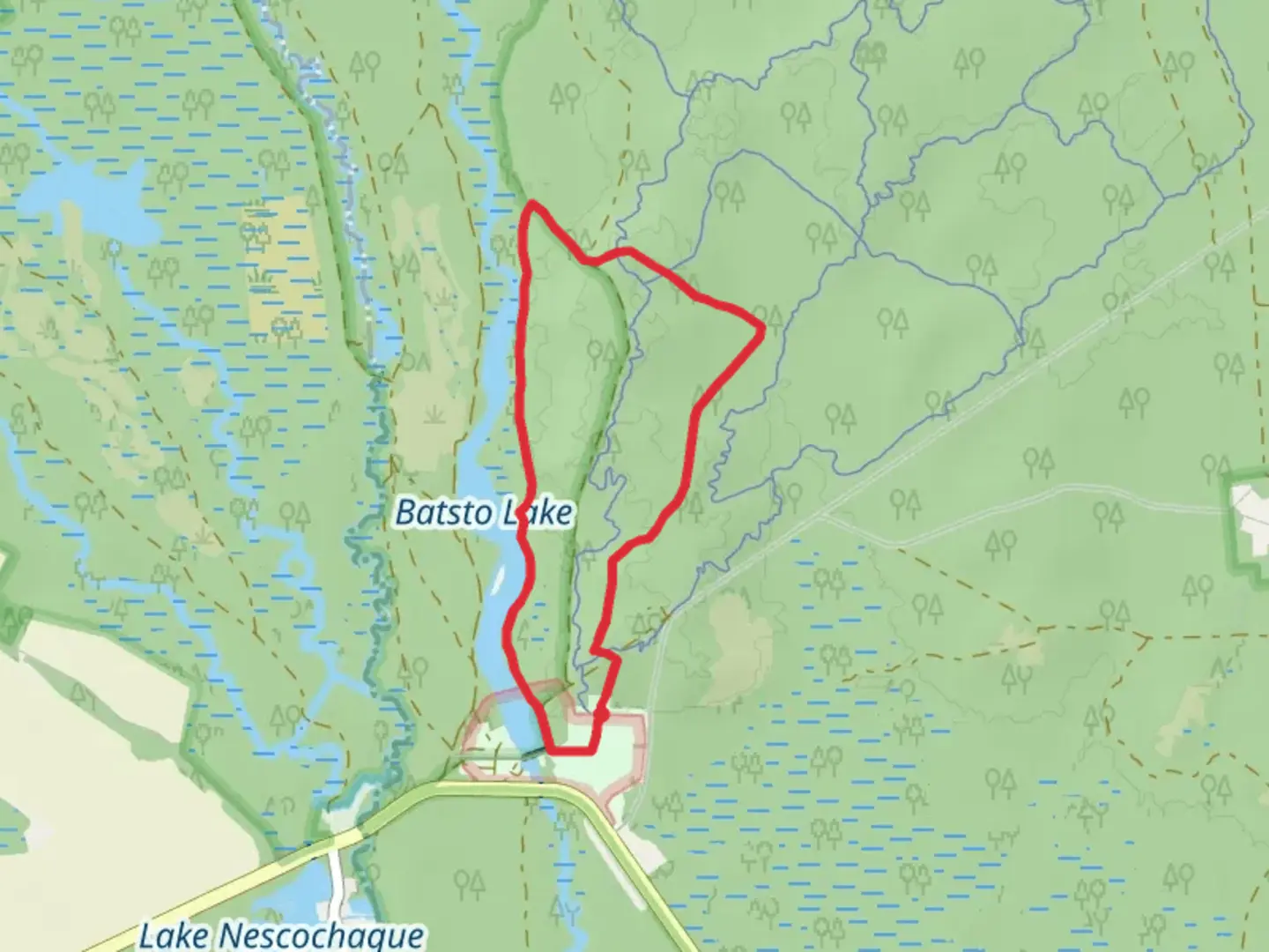 An image depicting the trail Batsto lake and Batona Loop Trail and its surrounding area.