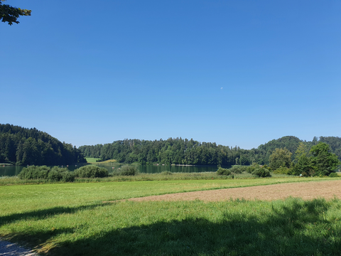 Mettmenstetten to Turlersee Lake Trail
