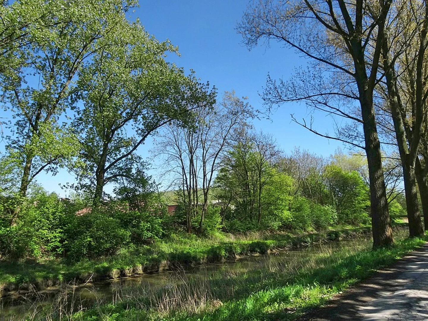 An image depicting the trail Rund um Kuerrten and Wanderparkplatz Biesfeld Rundweg and its surrounding area.