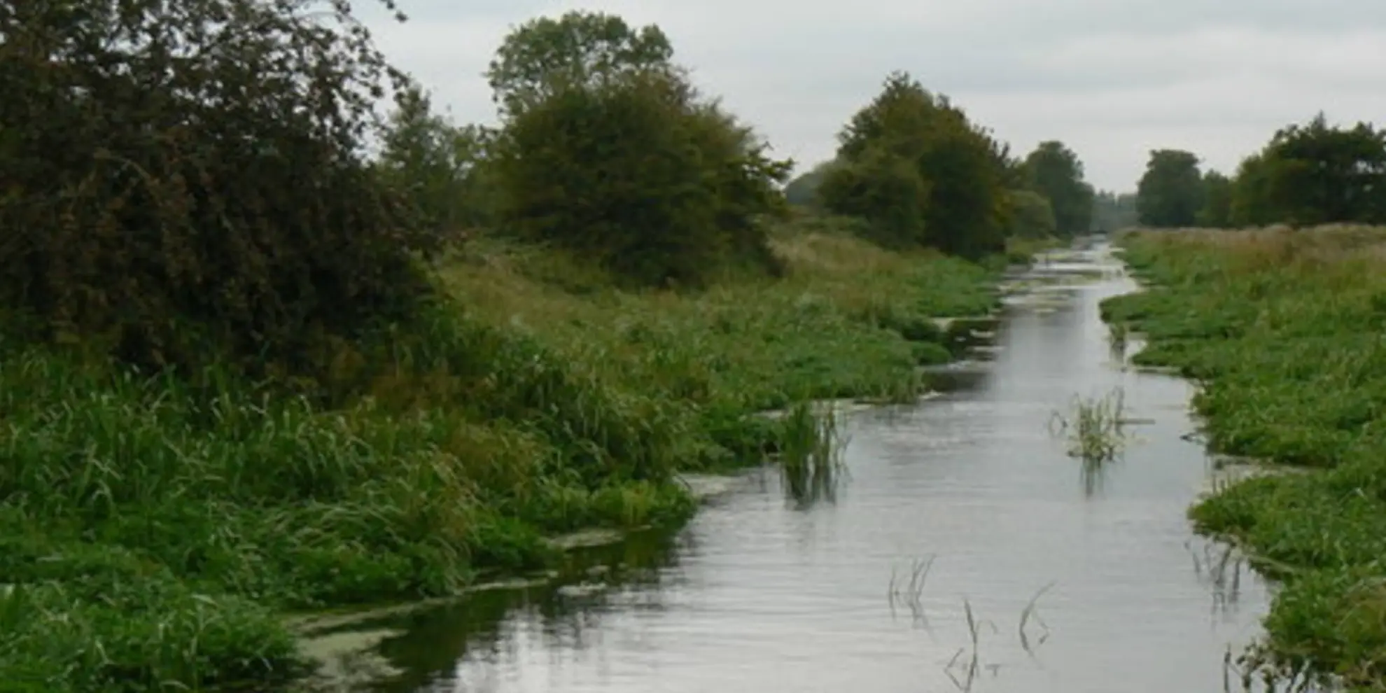 An image depicting the trail Melbourne - Thornton and Pocklington Canal and its surrounding area.
