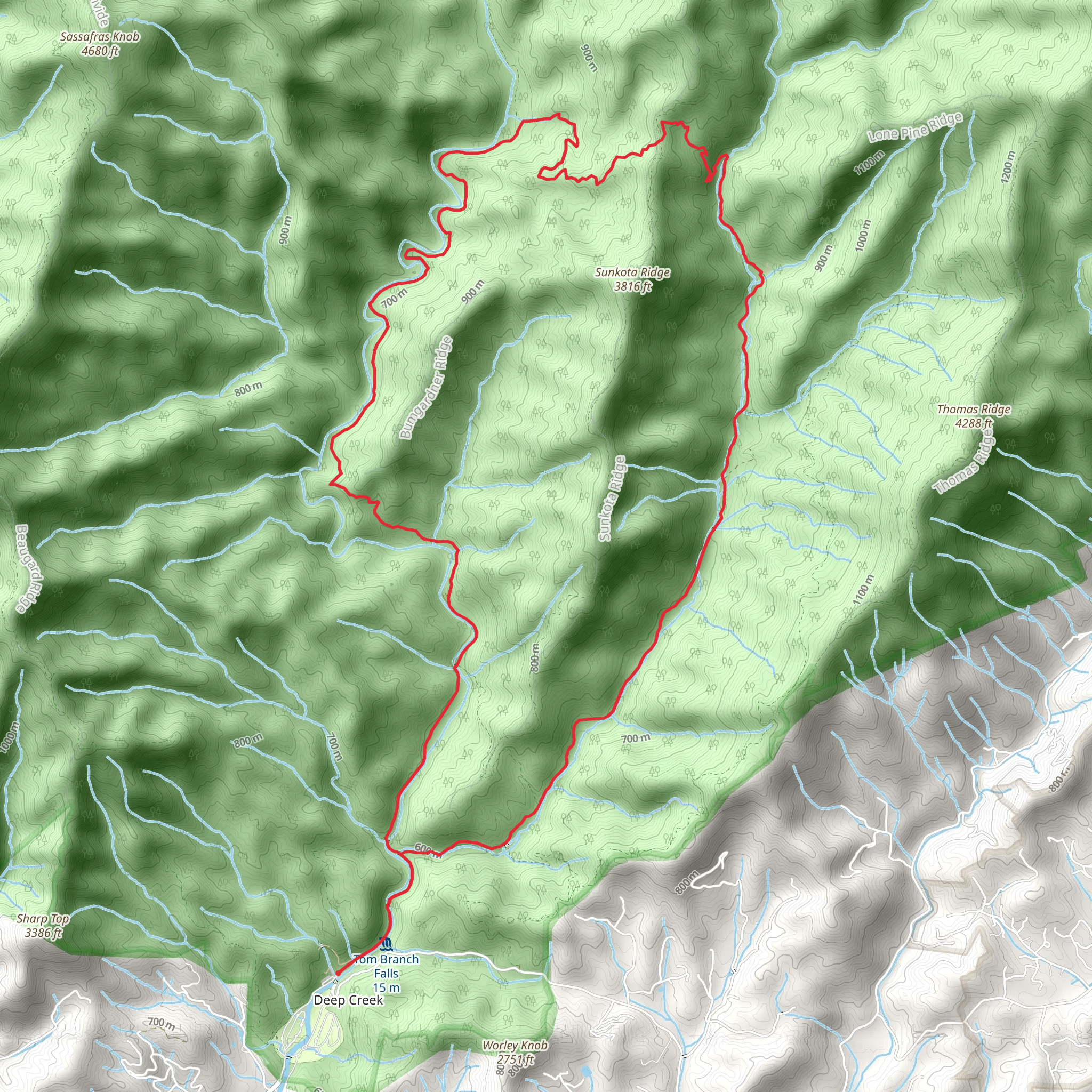 Deep Creek, Martins Gap and Indian Creek Loop Trail mobile static map