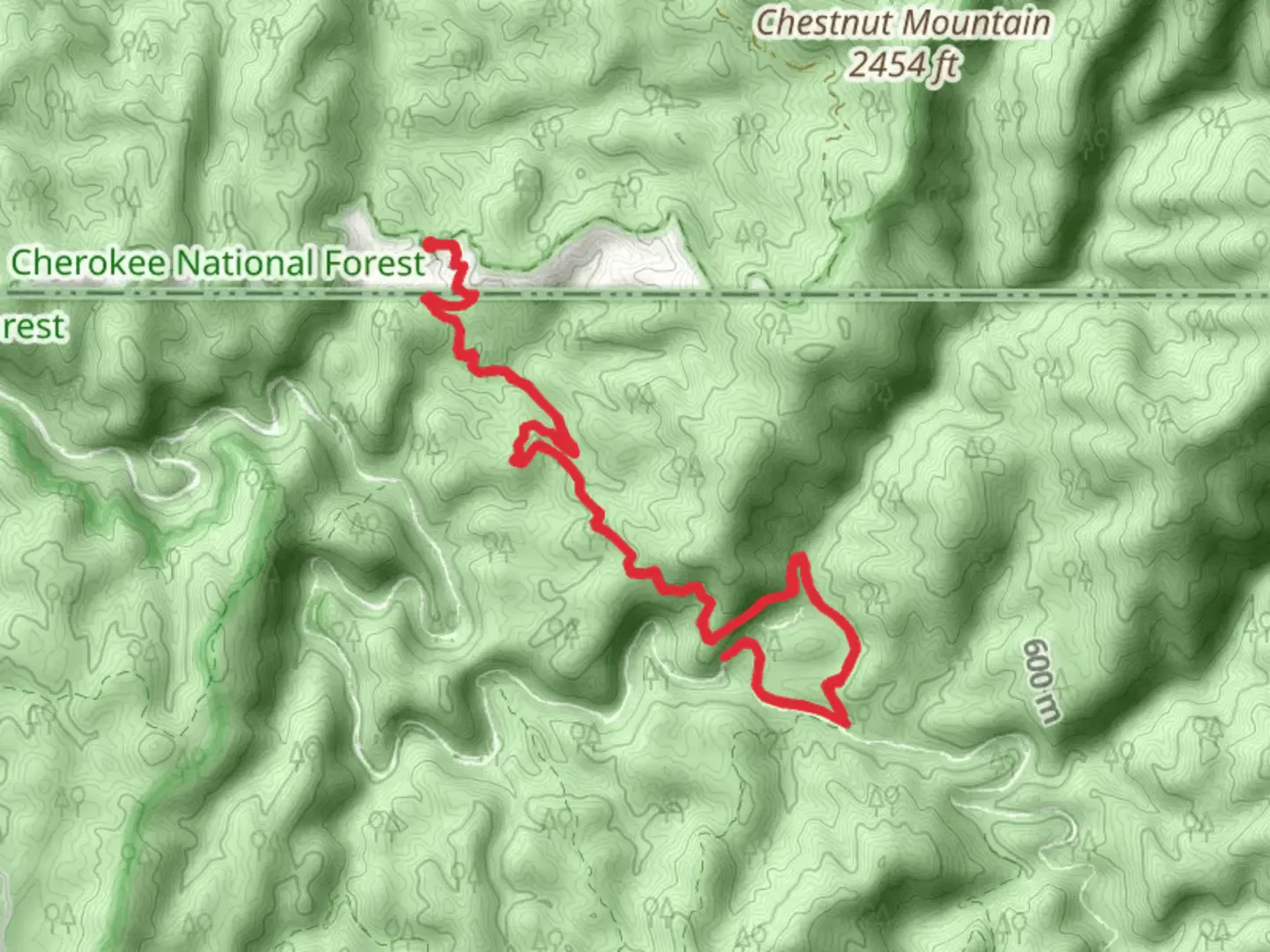 An image depicting the trail Beech Bottom and its surrounding area.