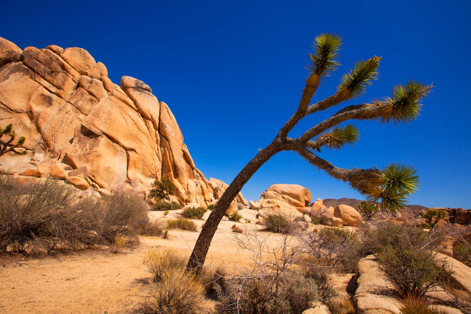 An image depicting the trail Untitled Track 145 Trail and its surrounding area.