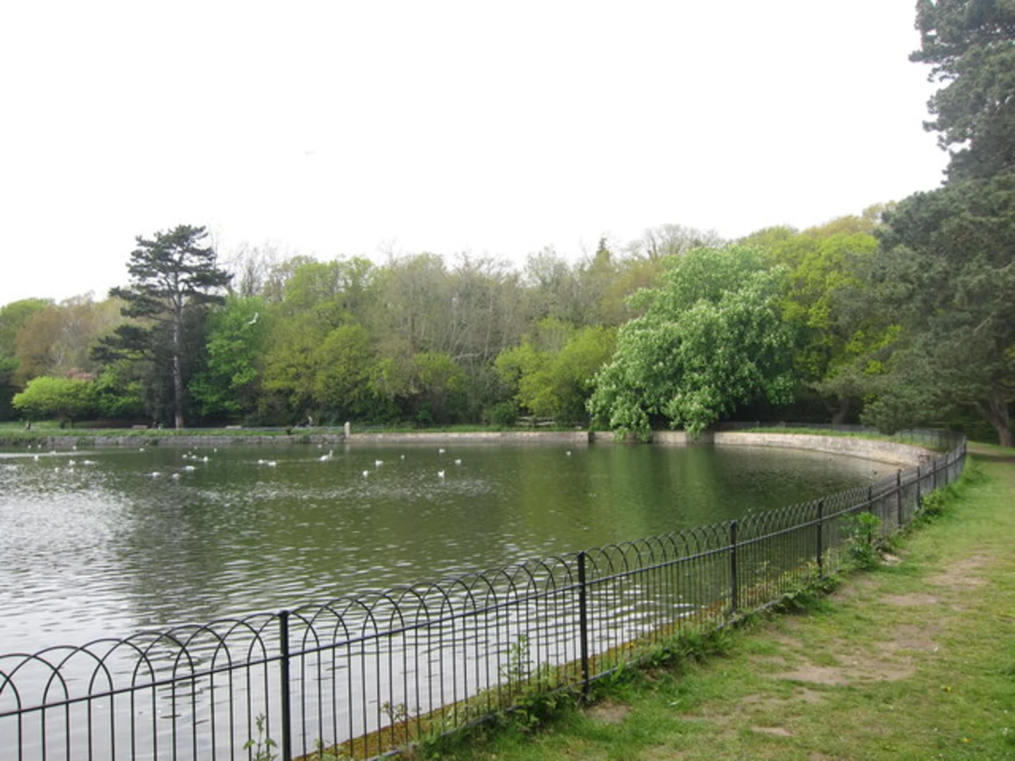 An image depicting the trail Old Roar Gill, Buckshole Reservoir, Shornden Reservoir and Alexandra Park Loop and its surrounding area.