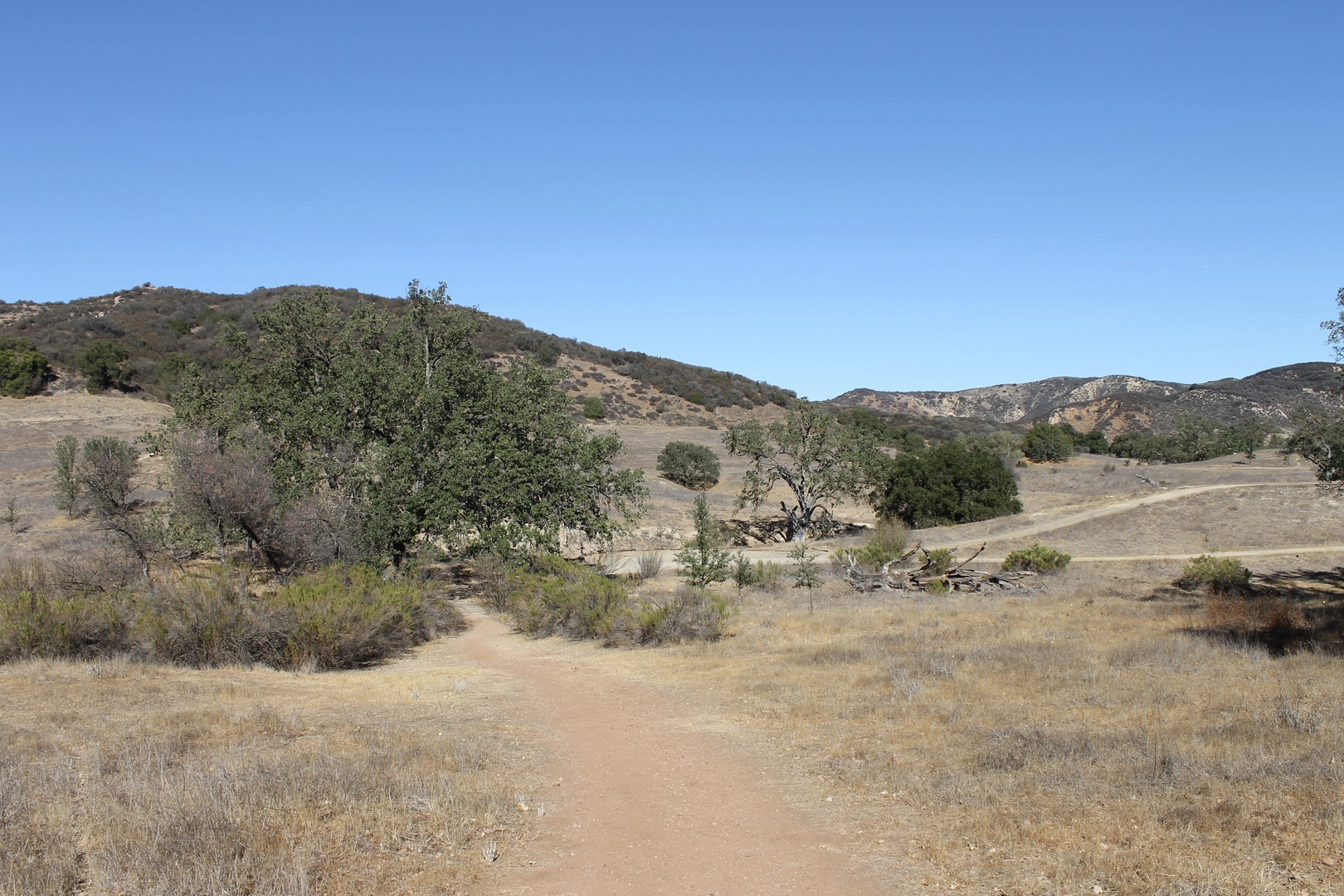 An image depicting the trail Paramount Ranch Drive Loop and its surrounding area.