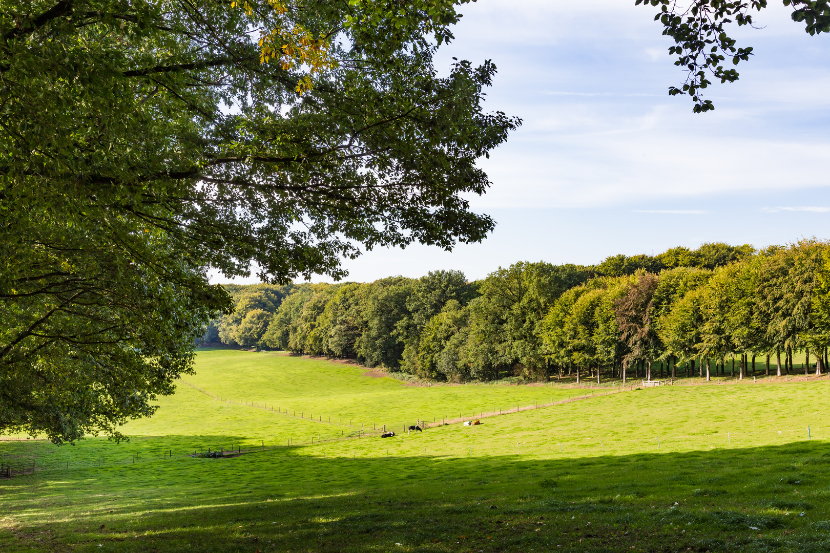 An image depicting the trail Maasbergse Bos, Mariendaal and Doorwerthsche Loop and its surrounding area.