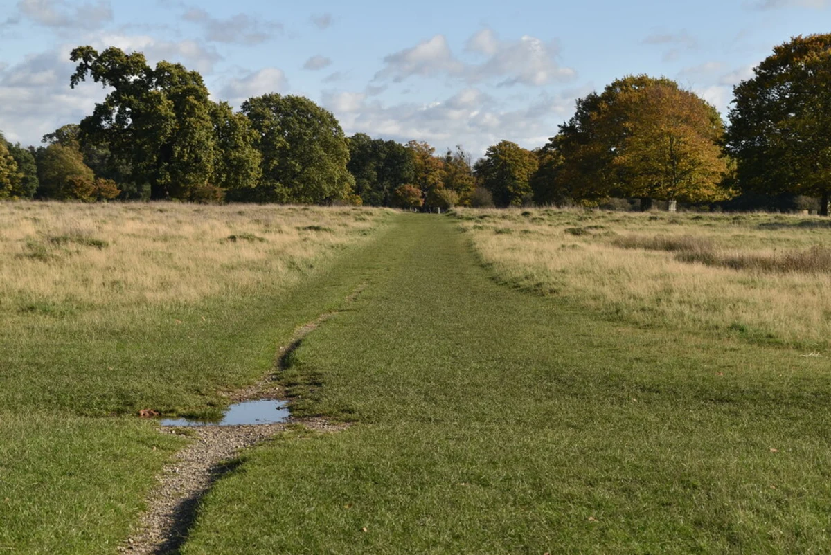 The Woodland Gardens and Bushy Park Loop