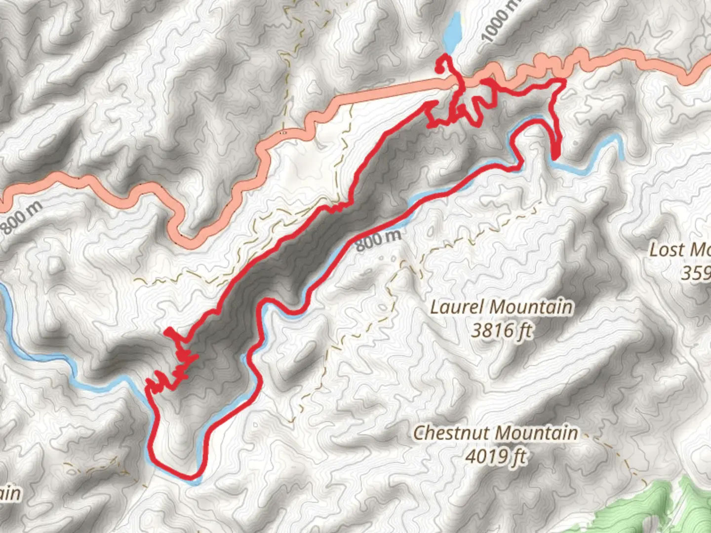 An image depicting the trail Bear Tree Gap, Appalachian and Virginia Creeper Loop Trail and its surrounding area.