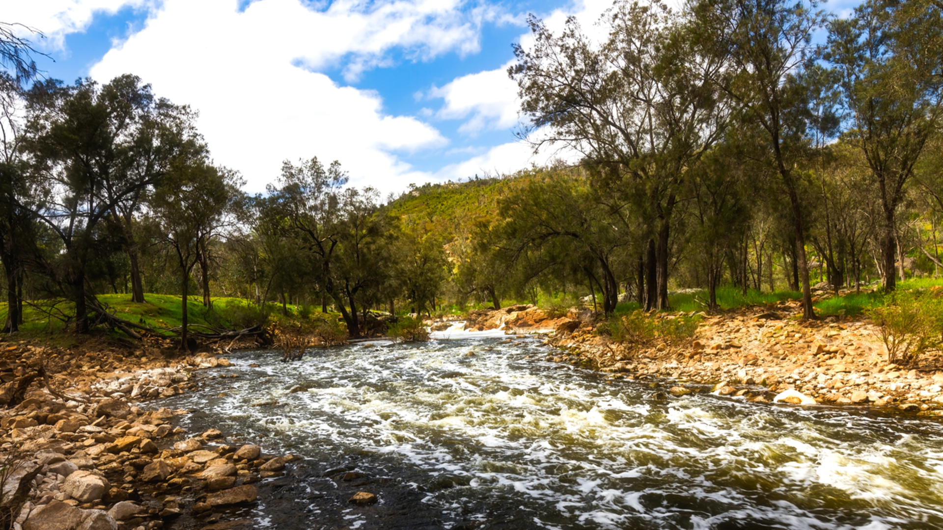 An image depicting the trail Kangaroo Trail and its surrounding area.