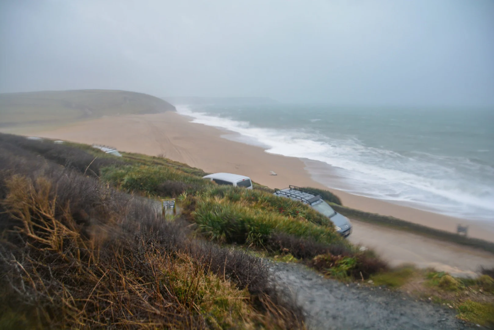 An image depicting the trail Penrose Estate Loop and its surrounding area.