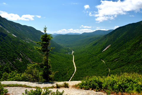 An image depicting the trail Mount Tom Spur via Avalon Trail and its surrounding area.