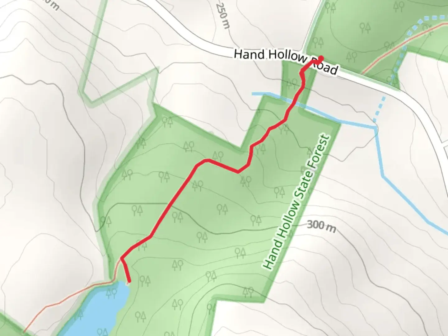 An image depicting the trail Spiegelberg Lake Trail and its surrounding area.