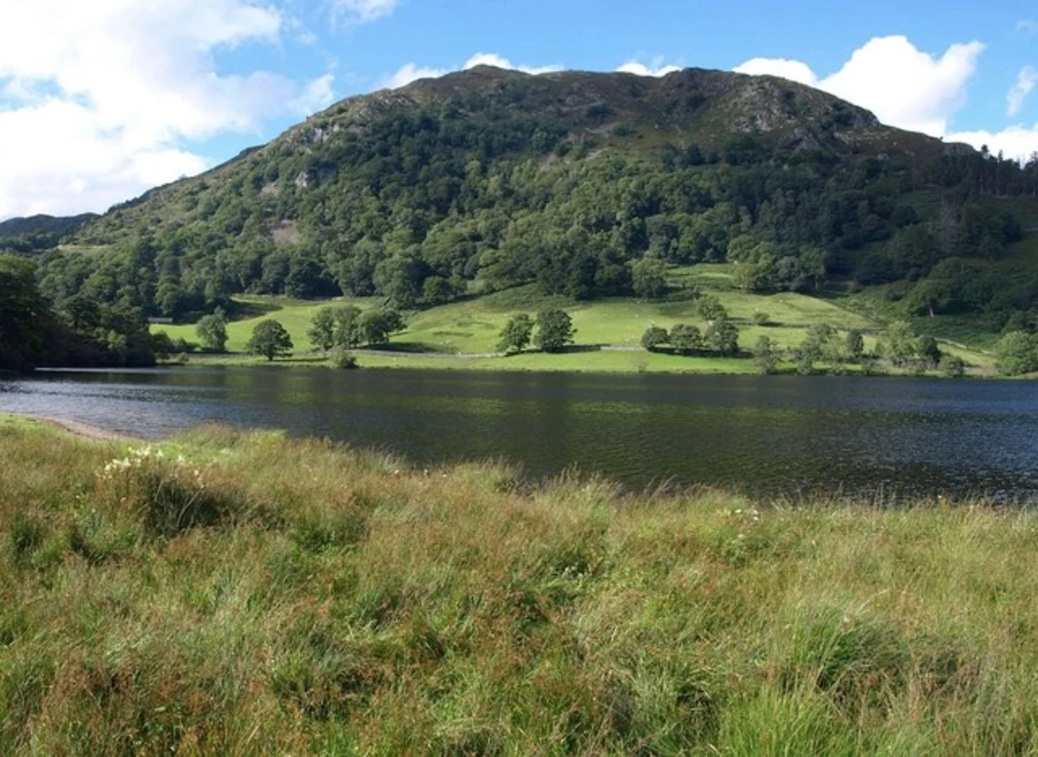 An image depicting the trail Faeryland Grasmere and Dockey Tarn Loop and its surrounding area.