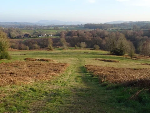 Bringsty Common Loop