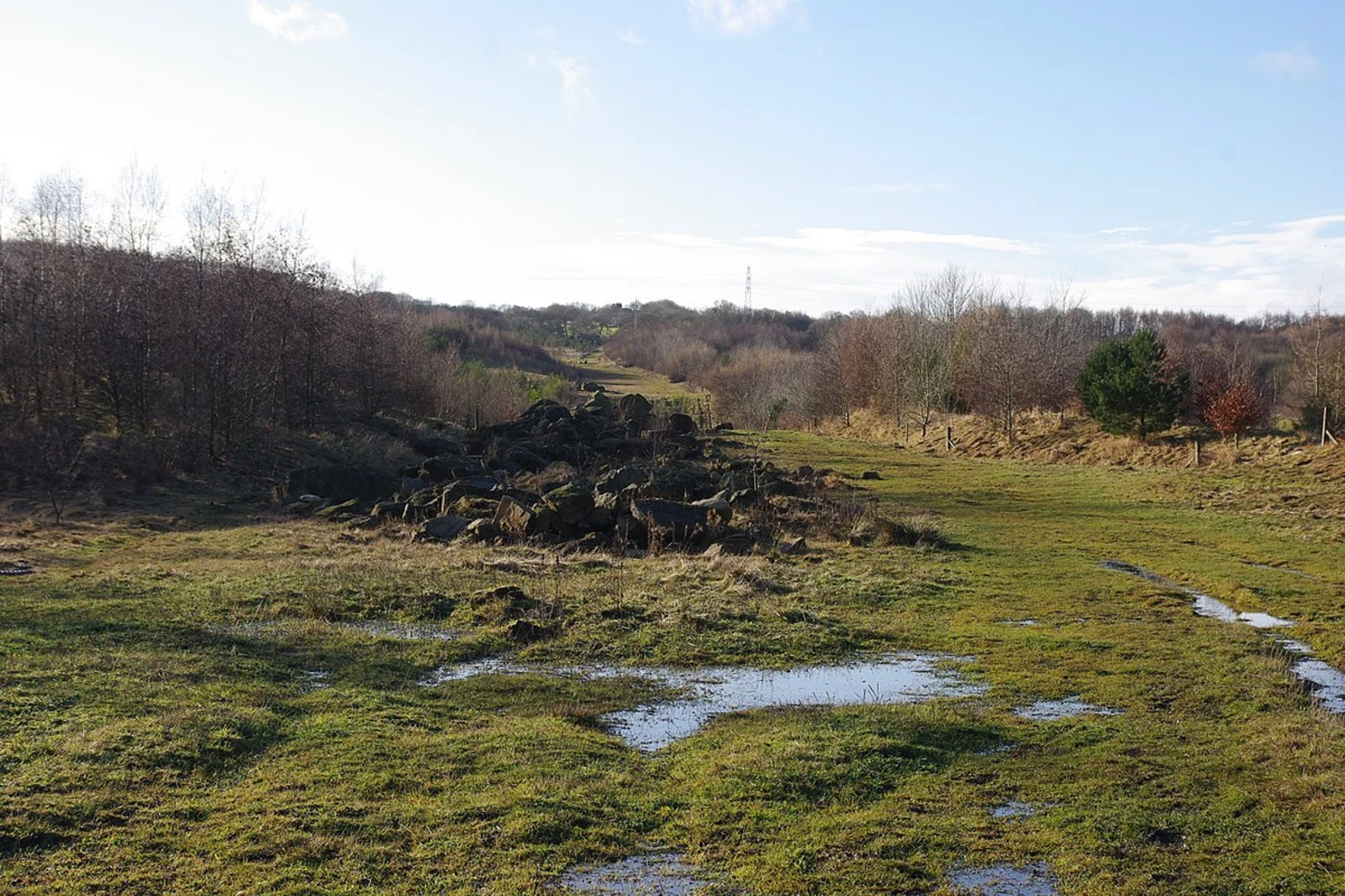 An image depicting the trail Watergate Forest Park via Tanfiled Railway Path and its surrounding area.