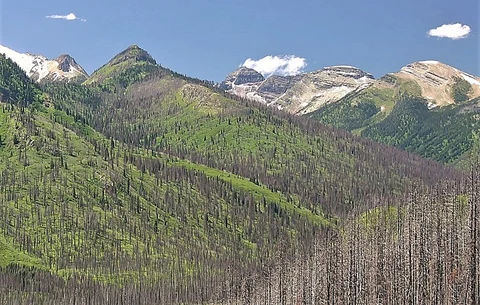 An image depicting the trail Logging Lake Trail and its surrounding area.
