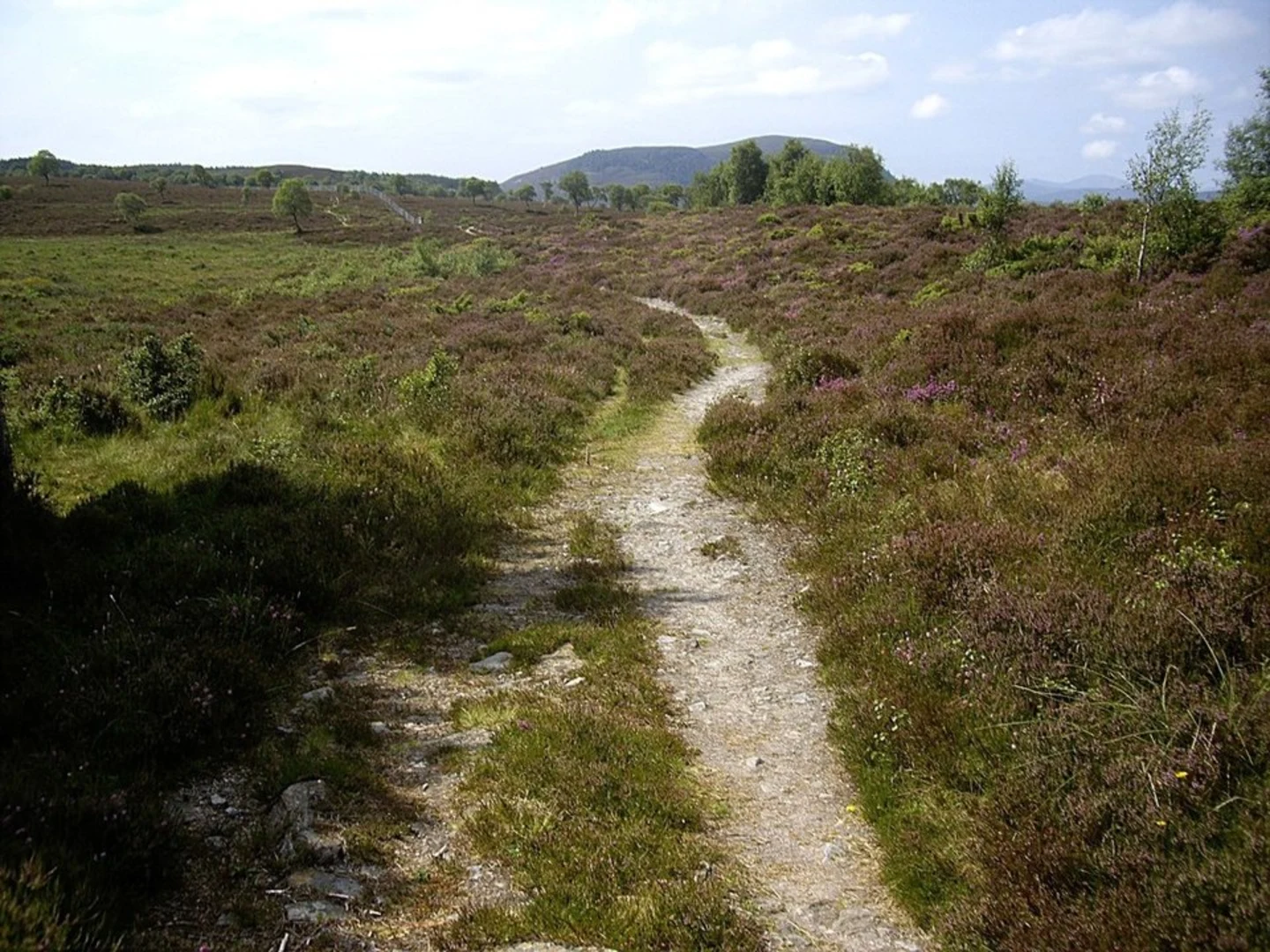 An image depicting the trail Morrone Birkwood and Ey Burn Loop from Braemar and its surrounding area.