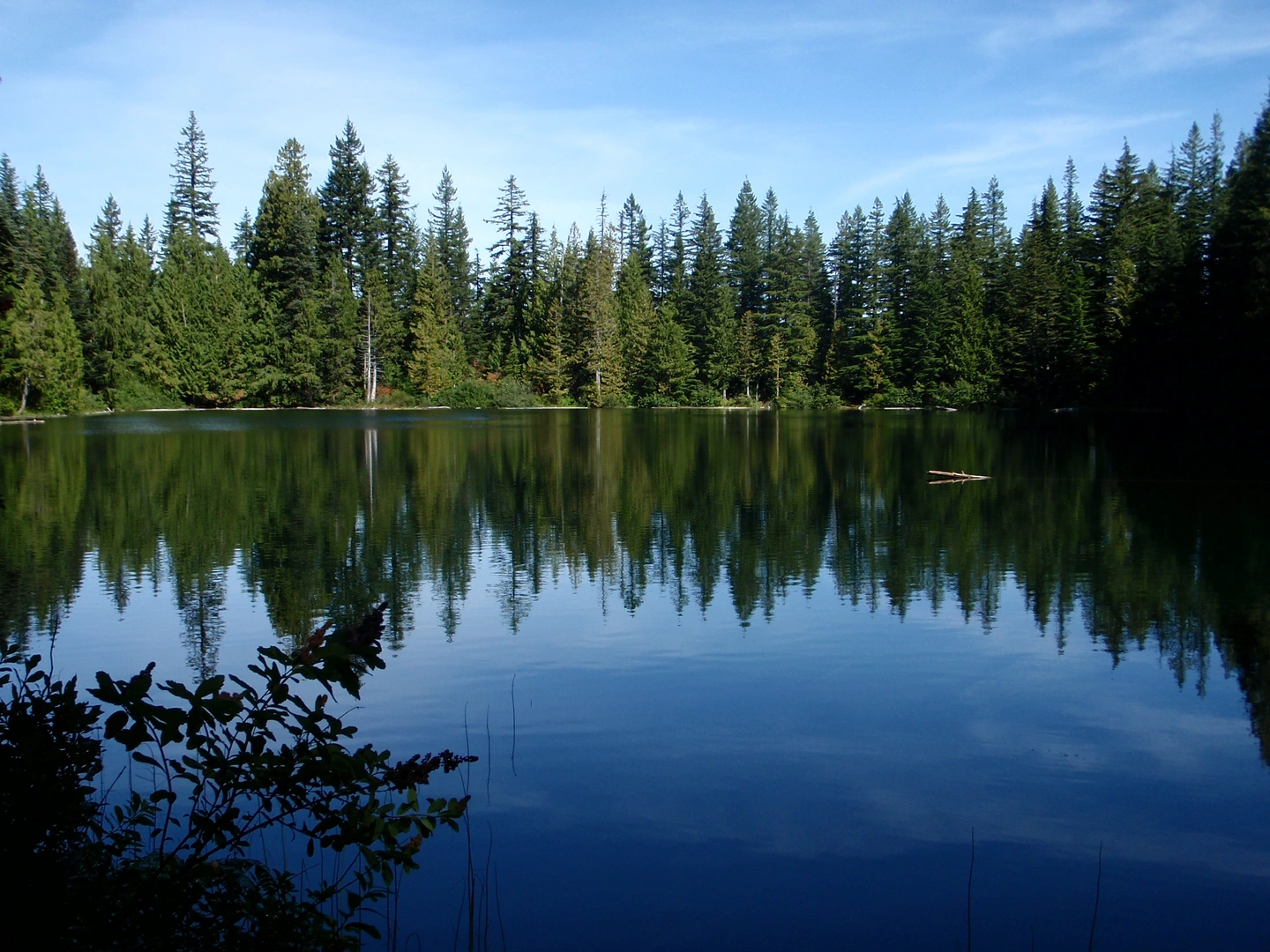 An image depicting the trail Bluff Mesa Loop Trail and its surrounding area.