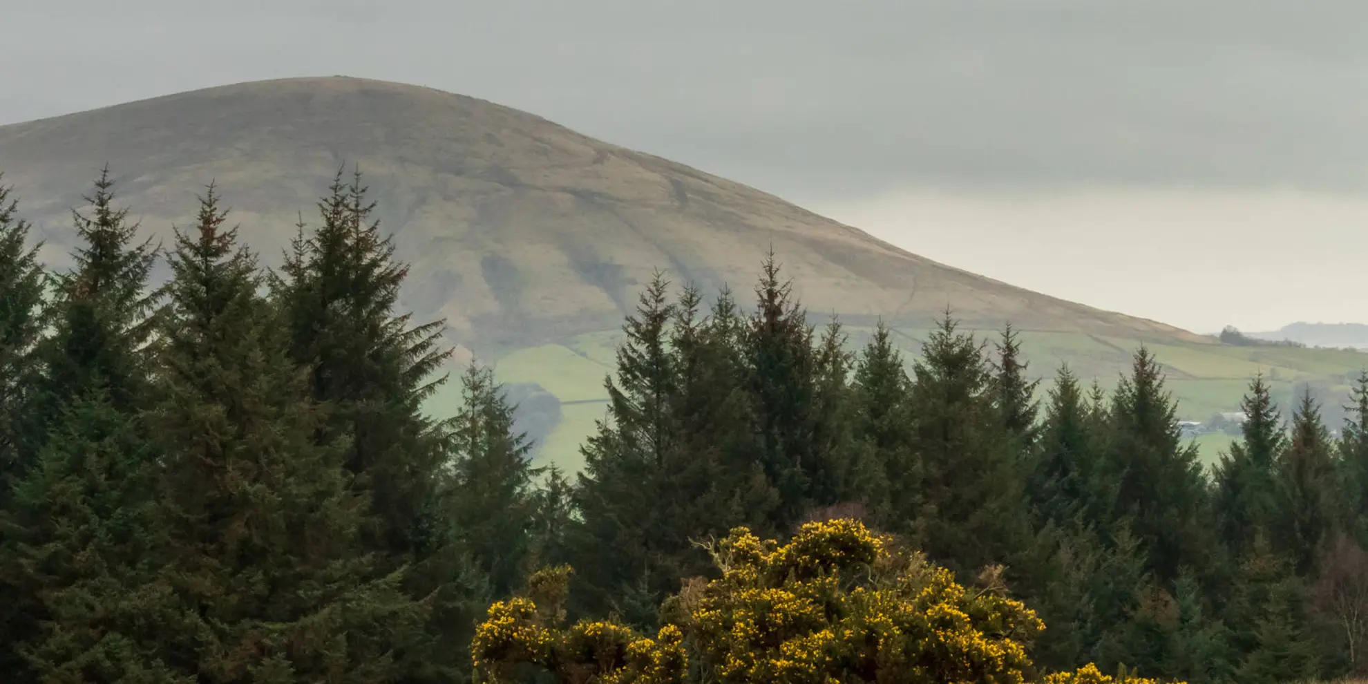 An image depicting the trail The River Brock and Beacon Fell and its surrounding area.