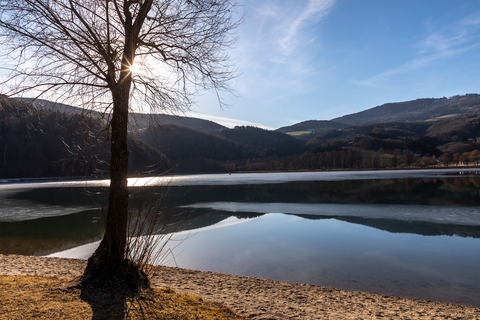An image depicting the trail Vulture Wall Trail from Lake Stubenberg and its surrounding area.