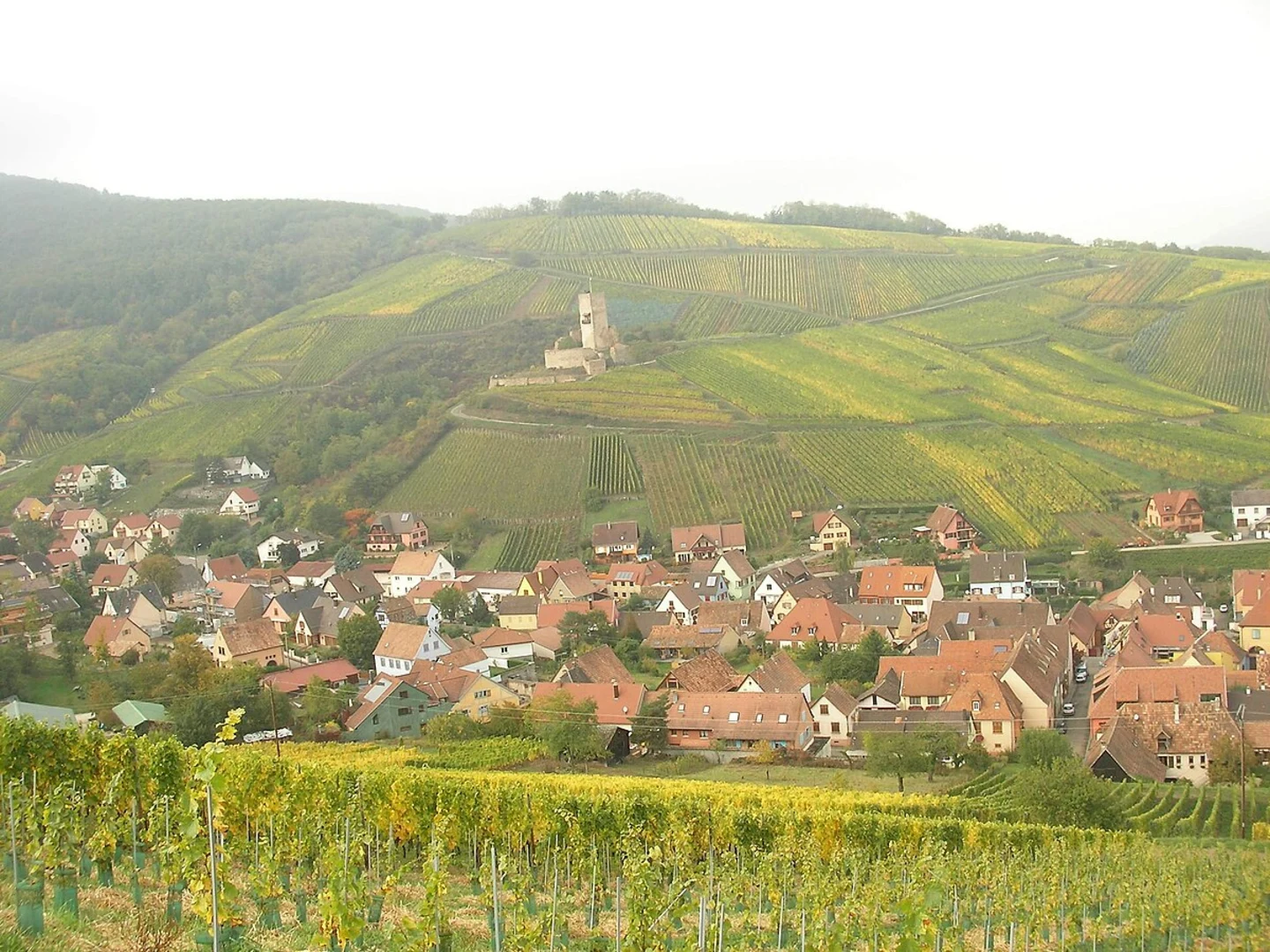 An image depicting the trail Schambach and Rundwanderweg Kipfenberg Loop and its surrounding area.