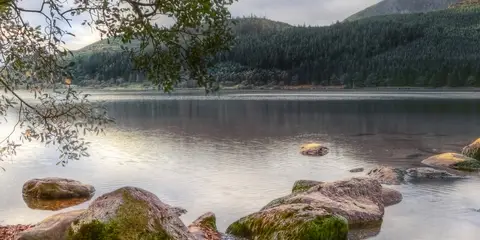 An image depicting the trail Moel Cynghorion from Llyn Cwellyn and its surrounding area.