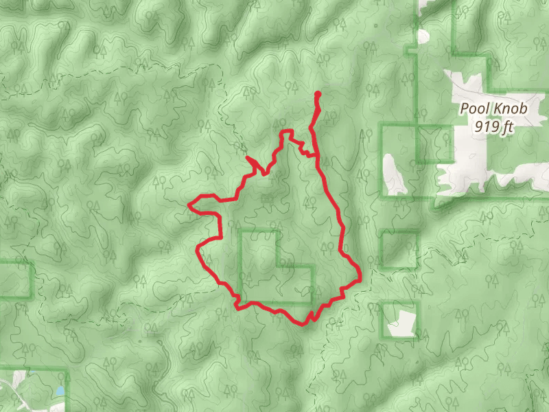 Brushy Creek and Pine Torch Loop