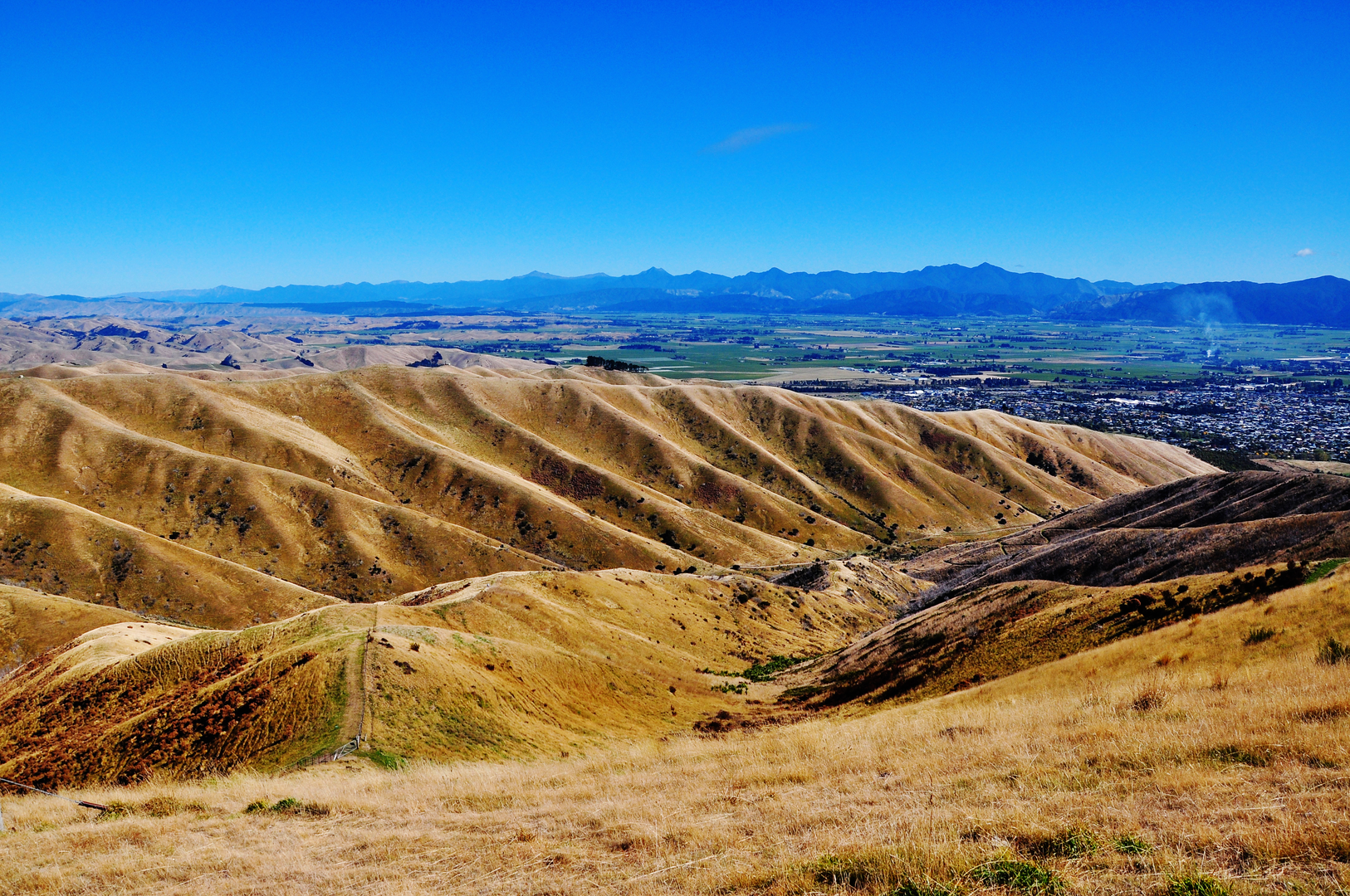 An image depicting the trail Lower Quail Stream Trail to Upper Harling Trail Loop and its surrounding area.