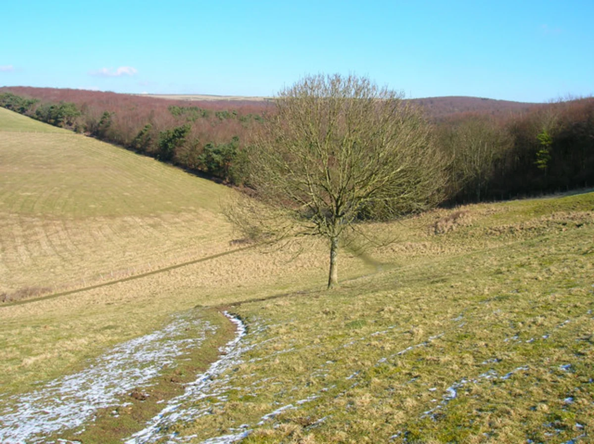 Dilworth Clumps and Shellbrook Wood via Wood Farm Trail