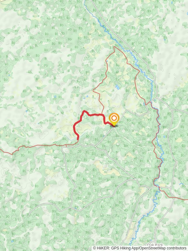 Monkey Creek via Florida Trail