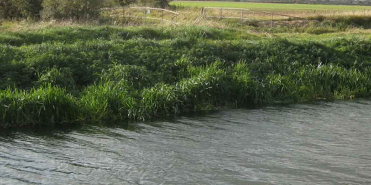Brandy Wharf from Atterby Carr Lane