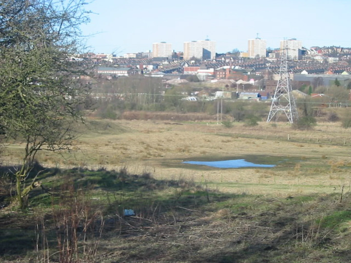 An image depicting the trail Berryhill Fields Local Nature Reserve Loop and its surrounding area.