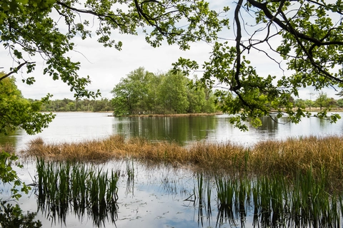 De Hoge Ginkel, Leersumsche Plassen, Geerenberg and De Keienberg Loop