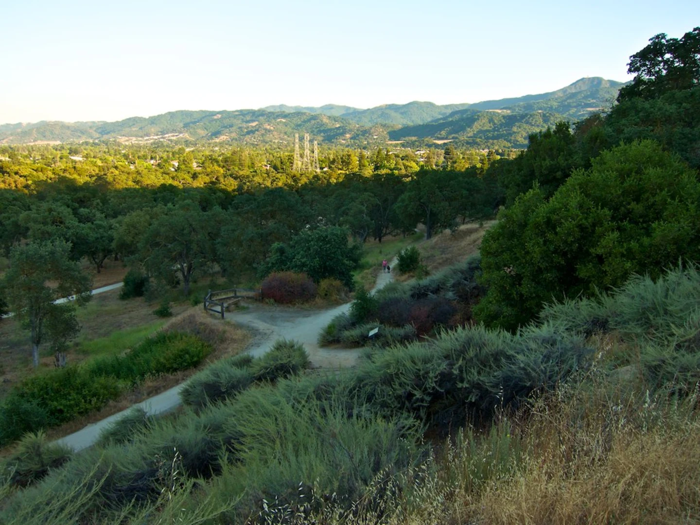 An image depicting the trail Guadalupe Oak Grove Park Loop and its surrounding area.