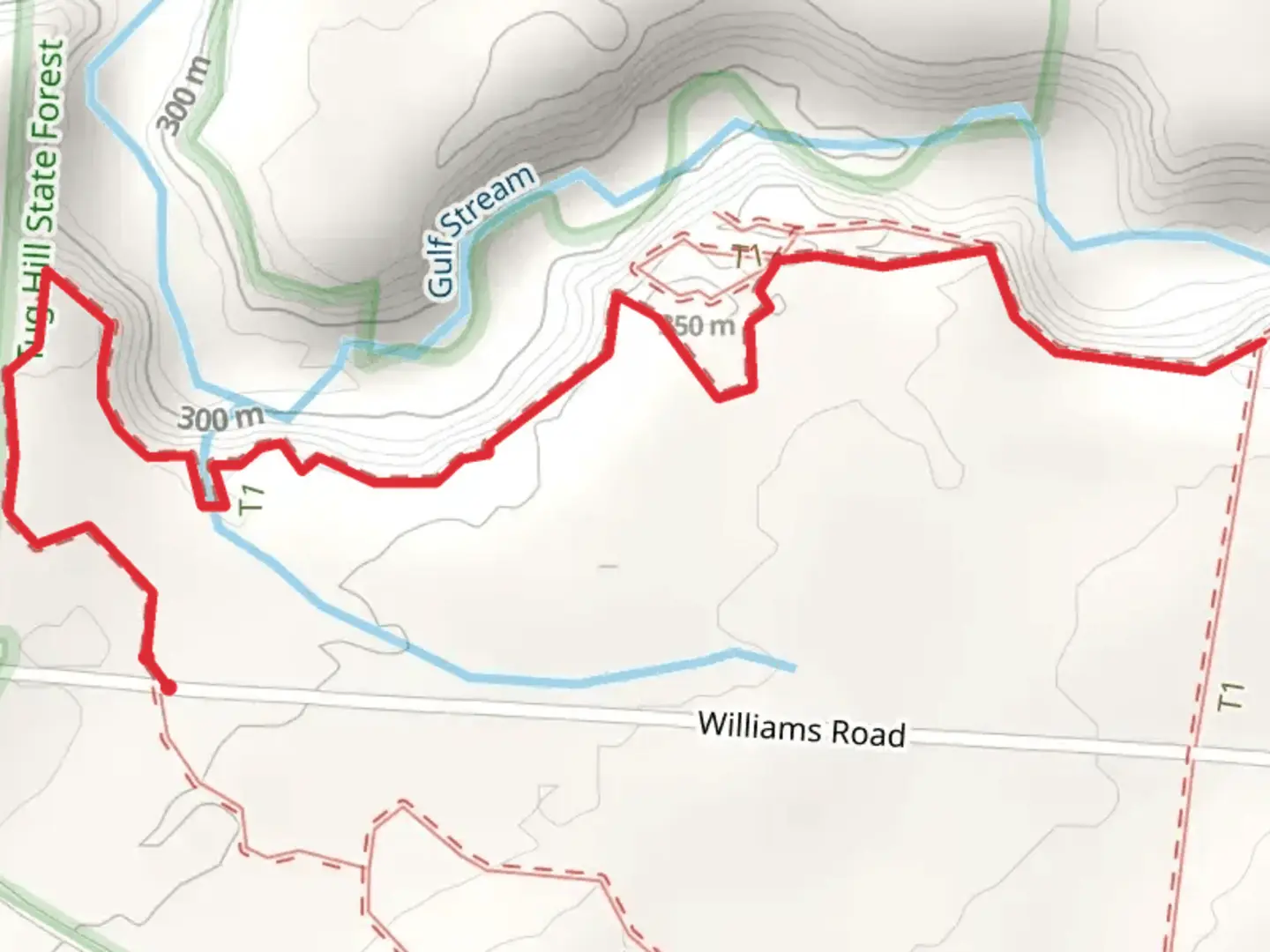 An image depicting the trail Oak Rim Trail from Williams Road and its surrounding area.