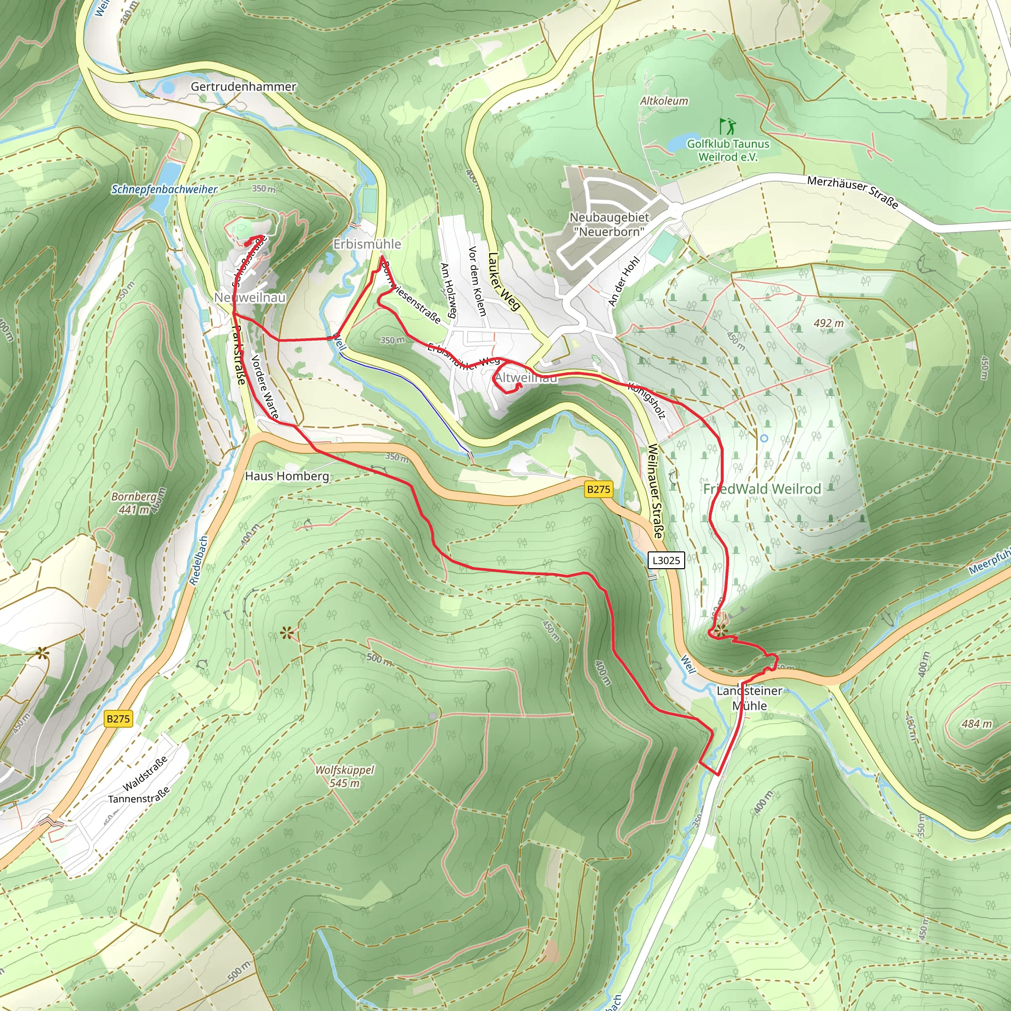 Schloss Neuweilnau and Ruine Altweilnau Loop via River Weil mobile static map