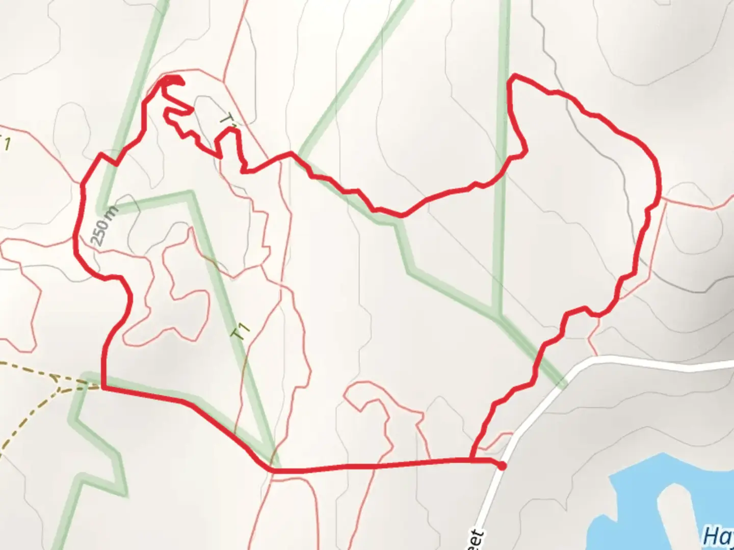 An image depicting the trail Leominster State Forest East Loop and its surrounding area.