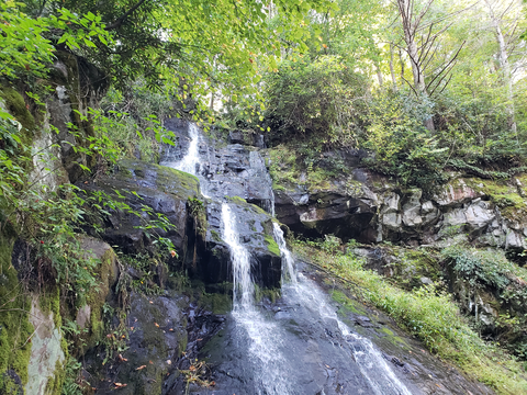 An image depicting the trail Hen Wallow Falls via Gabes Mountain Trail and its surrounding area.