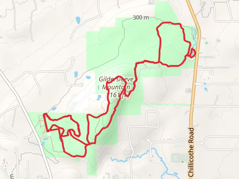 Gildersleeve Mountain - Beech Woods Loop Trail