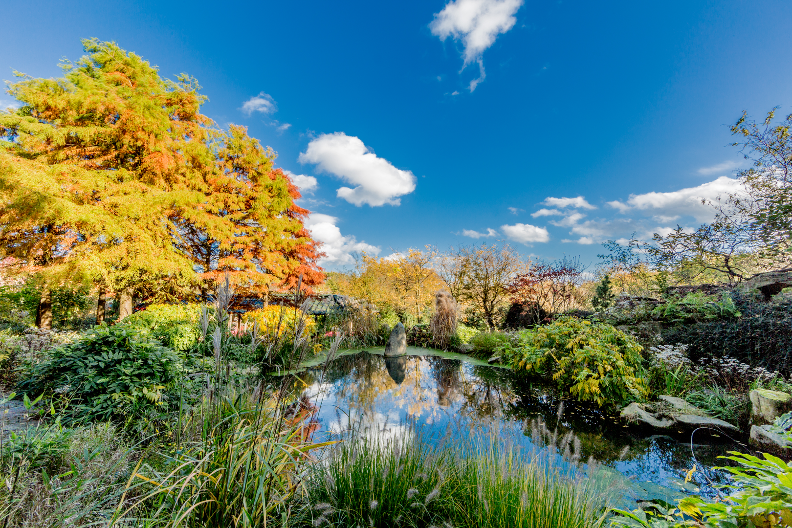 An image depicting the trail Dutch Mountain Trail and its surrounding area.