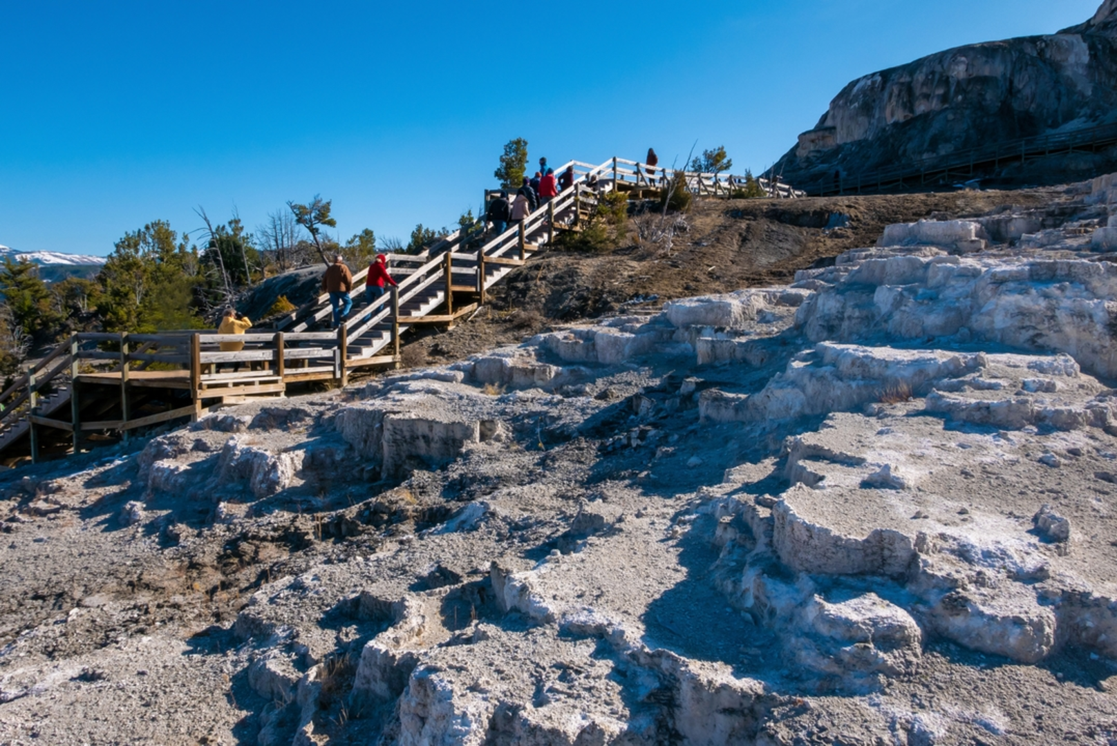 An image depicting the trail Mammoth Hot Springs Trails and its surrounding area.