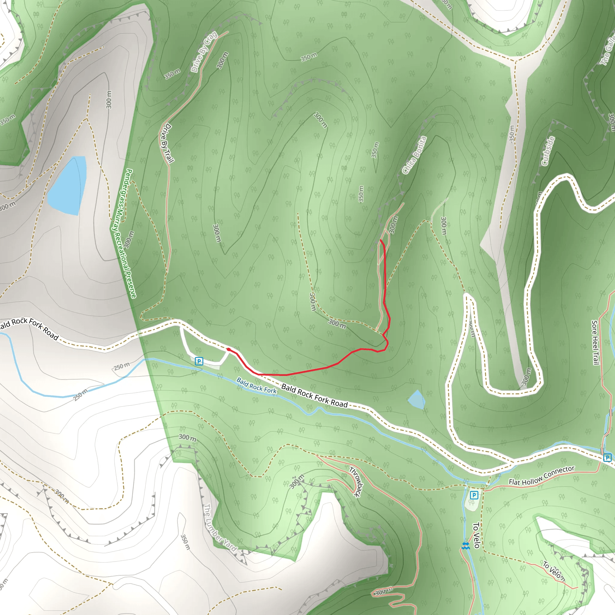 Bald Rock Fork mobile static map